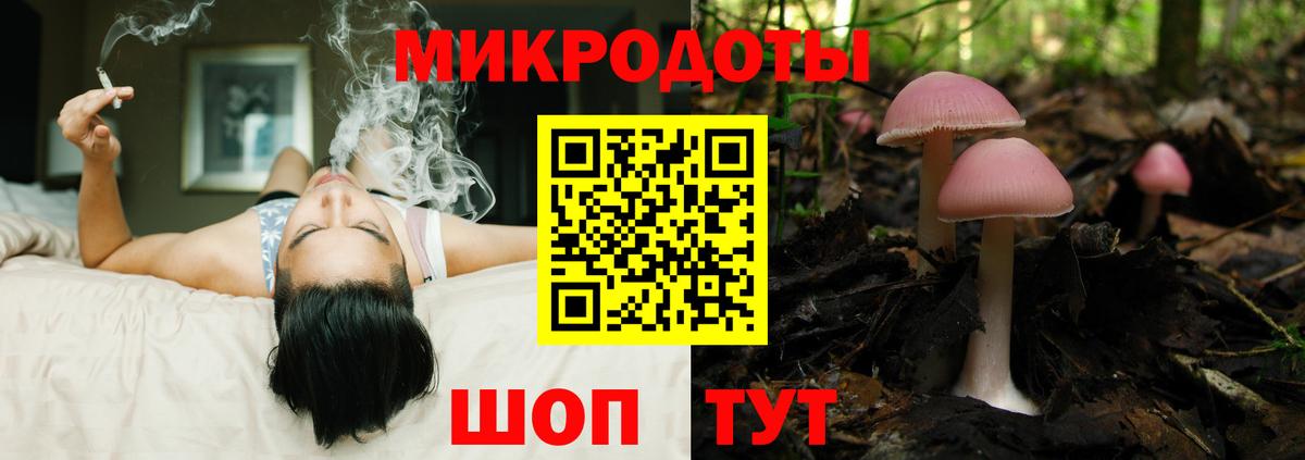Псилоцибиновые грибы мухоморы  Псилоцибиновые грибы Psilocybe  Сальск  Вход с VPN 